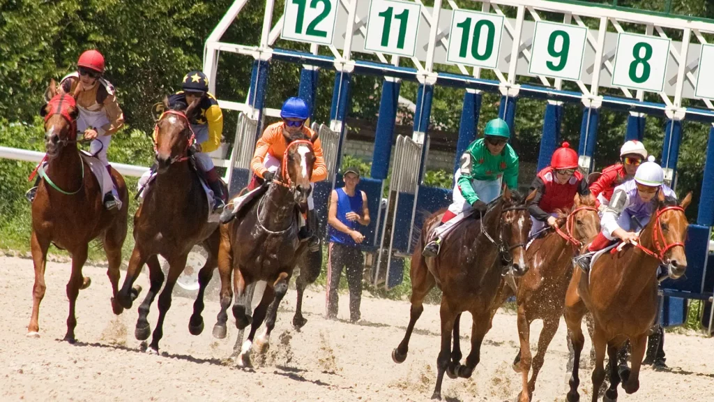 Play horse racing on jbcasino. 11 Horse Racing Bet Types