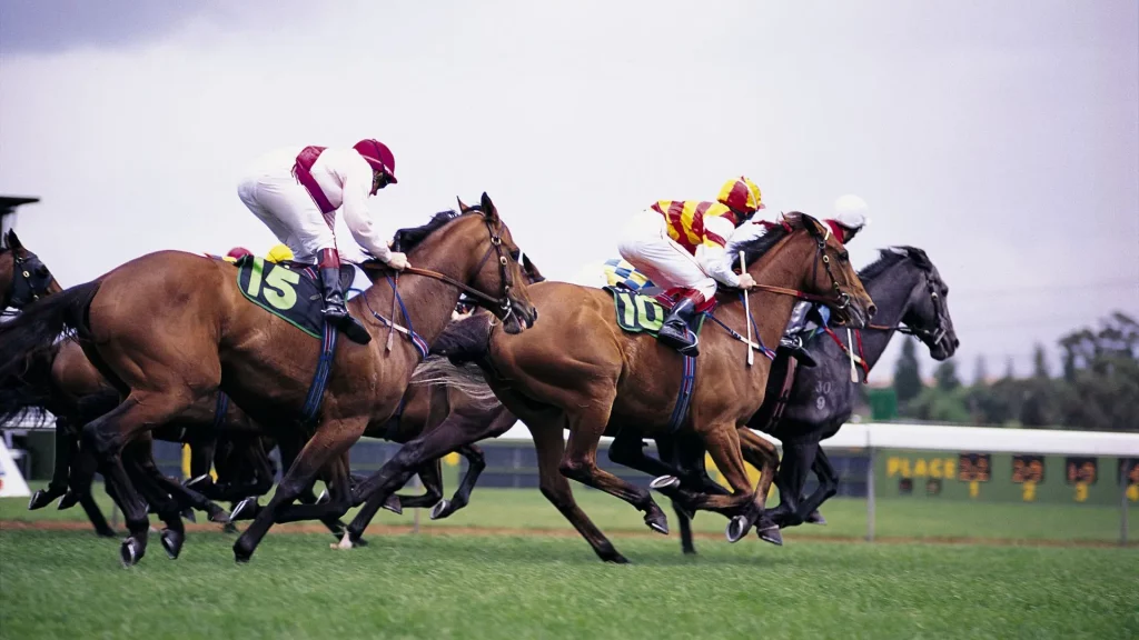 Horse racing how to bet?11 Horse Racing Bet Types 3 Horse racing betting types | Horse racing how to bet